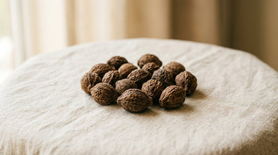 Whole dried Bibhitaki fruits used in traditional Ayurvedic skincare