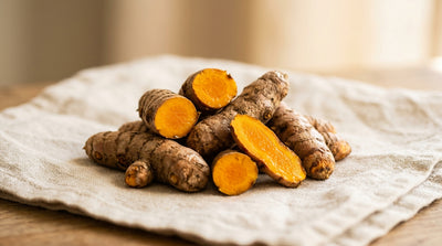 Fresh wild turmeric roots used in traditional Ayurvedic skincare